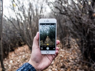 Tips and Apps for Better Mobile Phone Photography