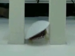 Cockroach-Inspired Robot Can Navigate Cluttered Environs