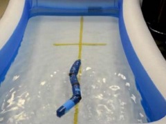 Eel-Like Robotic Fish to Scan Inaccessible Ocean Areas