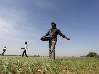 Government Launches AgriMarket, Crop Insurance Apps for Farmers