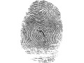 LG will equip G3 flagship with 'swipe' fingerprint scanner: Report