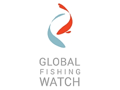 Google Joins Fight Against Illegal Fishing