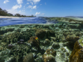 Google Street View goes underwater, offers virtual dives in coral reefs