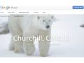 Google Maps adds polar bears as natural wonders, helps measure climate change
