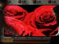 LG accuses Samsung of infringing OLED patents