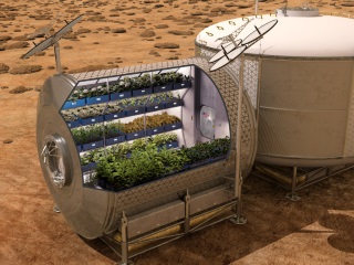 ISS Astronauts to Sample Leafy Greens Grown on Space Station