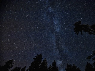 &#039;Perseid Meteor Shower to Be Particularly Spectacular This Year&#039;