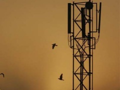 Meghalaya Health Department Asked to Find Out Impact of Mobile Tower Radiation