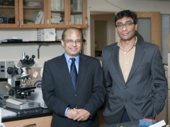 Scientists Develop New Super-Thin Lightweight Material