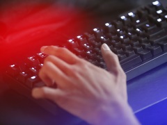 Hacker Disrupts Government Websites in Canada