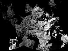 Philae Lander Finds Organic Material, Points to Microbial Life on Comet