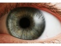 Night vision contact lenses come closer to reality