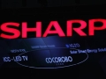 Sharp soars on increased output of new IGZO displays