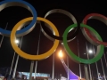 Sochi problems Twitter accounts outnumber record Winter Olympics followers
