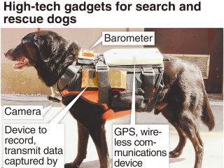 'Robodogs' With Hi-Tech Vests to Help in Disasters