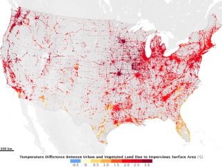 Nasa Says Grow Plants If You Want to Curb Urban Heat