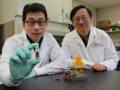 Researchers develop energy-dense, biodegradable battery that runs on sugar