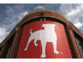 Zynga loses another excutive in top level exodus