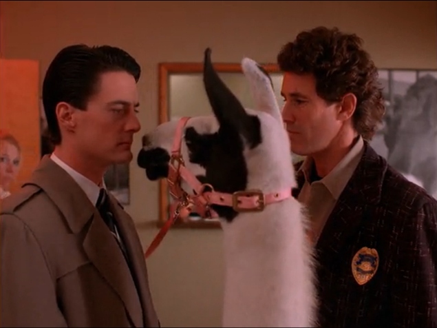 twin_peaks_cooper_truman_llama_amazon.jpg