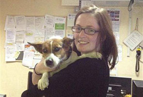 Twitter helps find dog that took train to Dublin