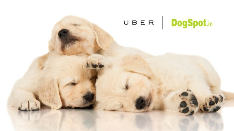 Apps or Ads? How Marketers Are Getting Smart on Smartphones