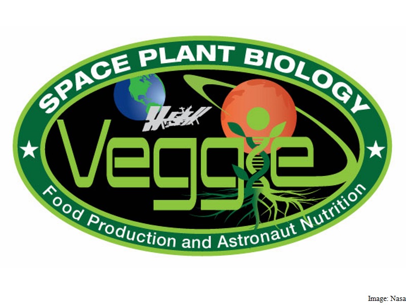 Flowers to Bloom in Space on ISS This New Year