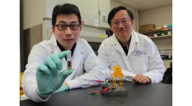 Researchers develop energy-dense, biodegradable battery that runs on sugar