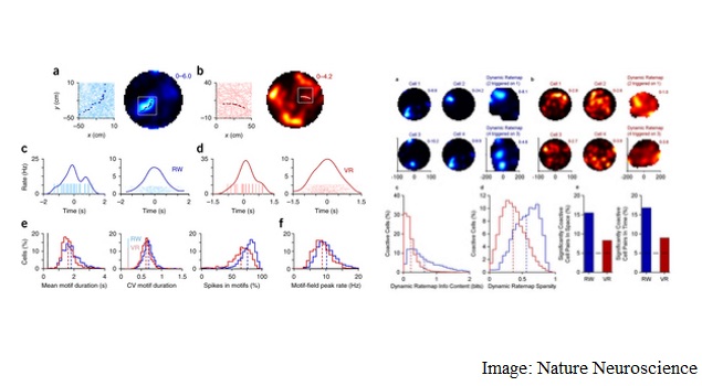 The Human Brain Can Distinguish Between Virtual and Real: Study