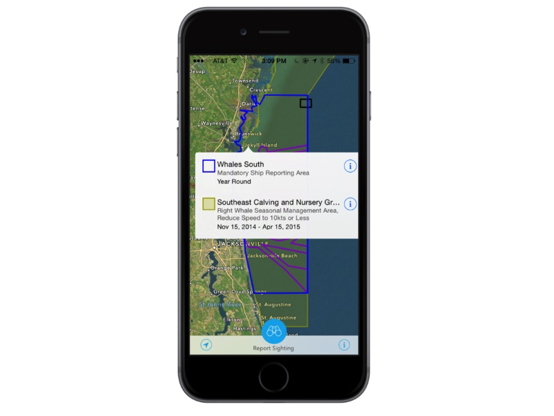 Whale-Finding Phone App Grows in Use, Steering Mariners Away