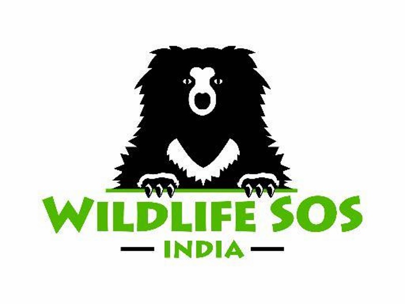 Amazon India Agrees to Remove 'Animal Specimen' Items: Wildlife SOS