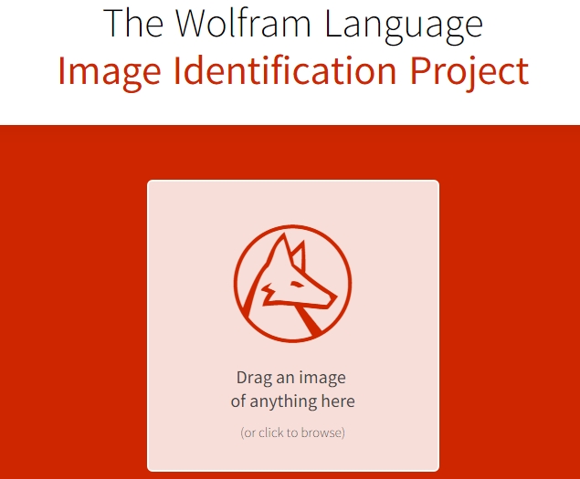 Wolfram Alpha's New Website Tries to Identify the Contents of Any Image