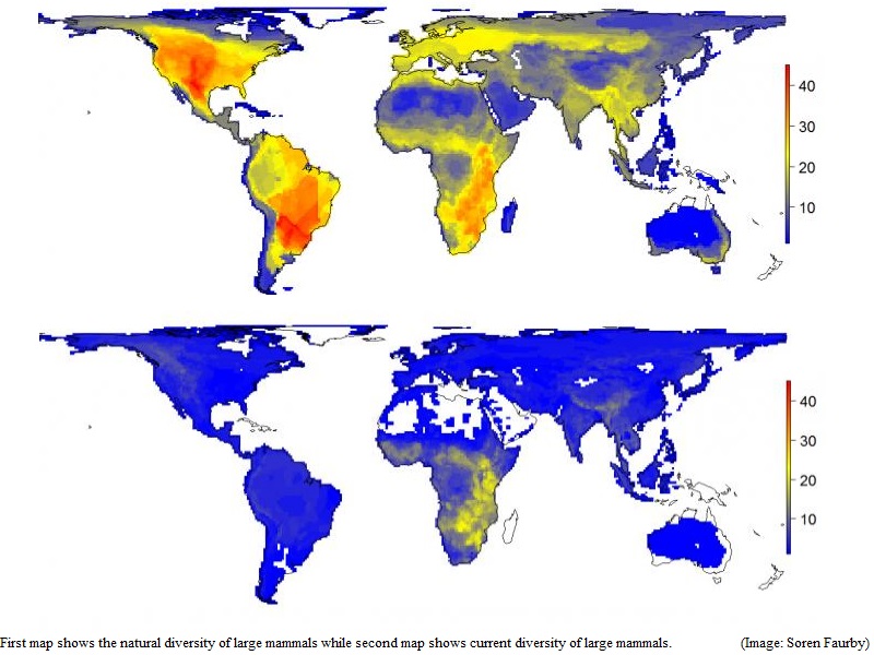 Novel Map Reveals the World Without Humans