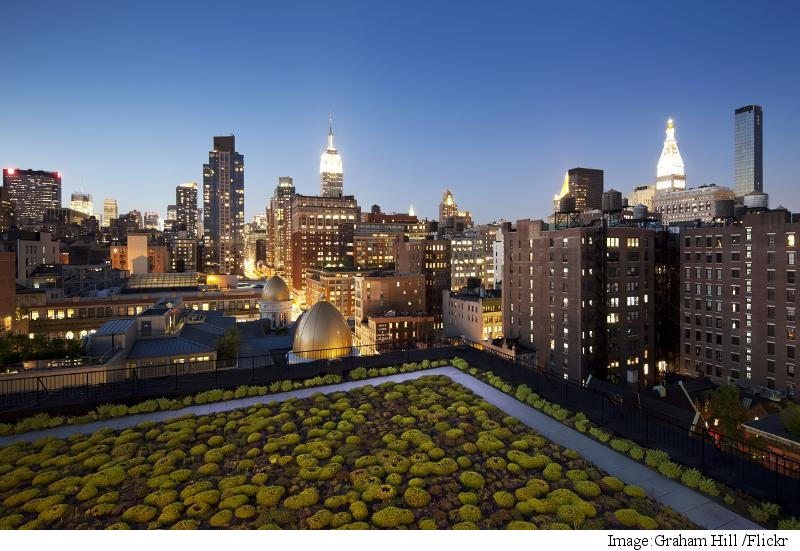 Alphabet's Sidewalk Labs Wants to Build and Operate Smart Cities