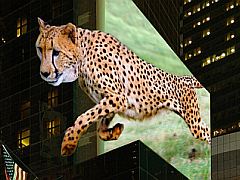 New Laser System Displays Glasses-Free 3D Hologram: Study