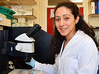 UK Researchers Seek Permission to Use Human Embryo Genome Editing