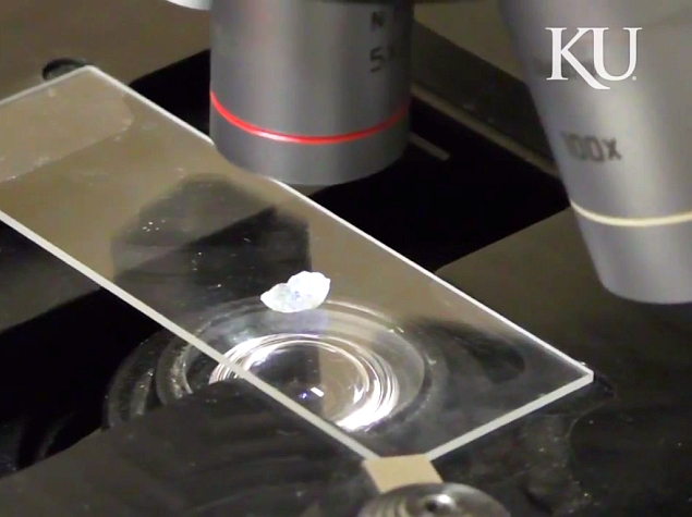 New Technique May Help Detect Traces of Alien Life on Mars