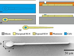 Researchers Develop Sperm-Inspired Robots Controlled by Magnetic Fields