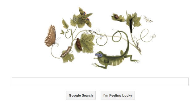 Maria Sibylla Merian's birthday celebrated by Google doodle