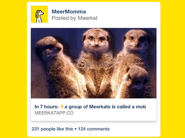 Meerkat Update Lets iOS Users Stream to Facebook, Introduces 'Mobbing'