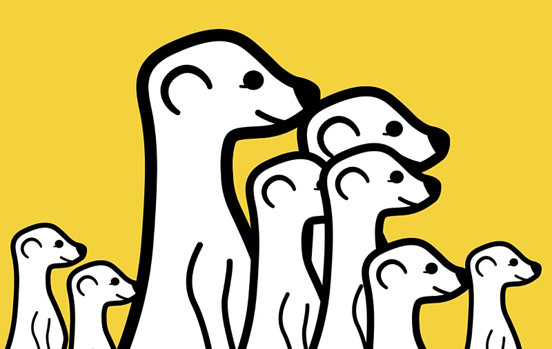 Meerkat Ditches Live Video Streaming for a Video Social Network