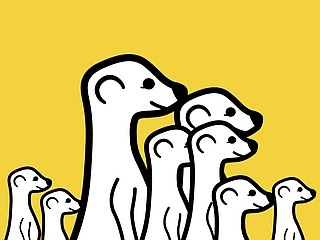 Meerkat Ditches Live Video Streaming for a Video Social Network