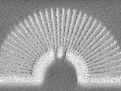 &#039;Hyperlens&#039; Can Show Tiny Objects That Elude the Most Powerful Optical Systems