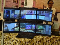 Computex Roundup - Part 2: Shrunken SSDs, Overclocking Madness, and More