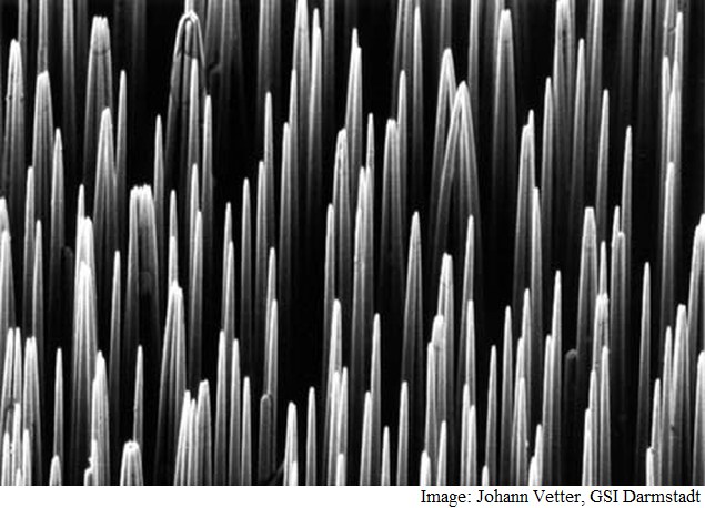 IISc Scientists Claim Vanadia Nanowires Can Help Combat Ageing in Humans