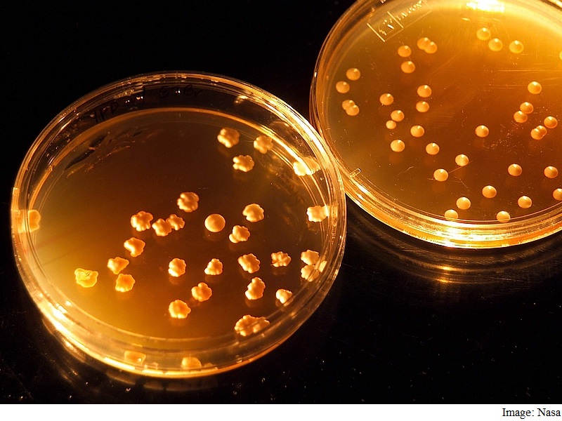 Nasa Wants to Turn Human Waste Into Food