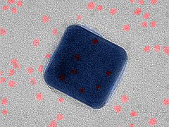 Superfast LEDs for Future Computers Set New Speed Record