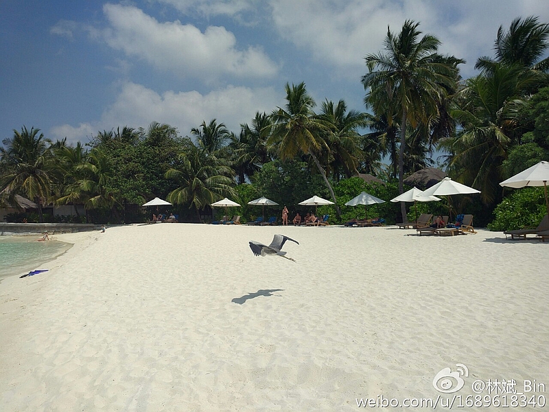 xiaomi_mi_5_camera_sample_lin_bin_weibo.jpg