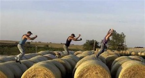 Watch: The viral farm parody that has millions mooing