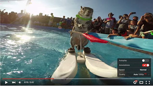 YouTube Web Player Now Features Transparent Controls